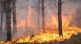 incendi