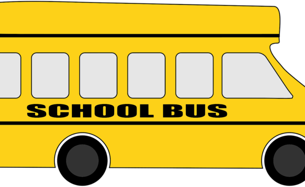 Bus-