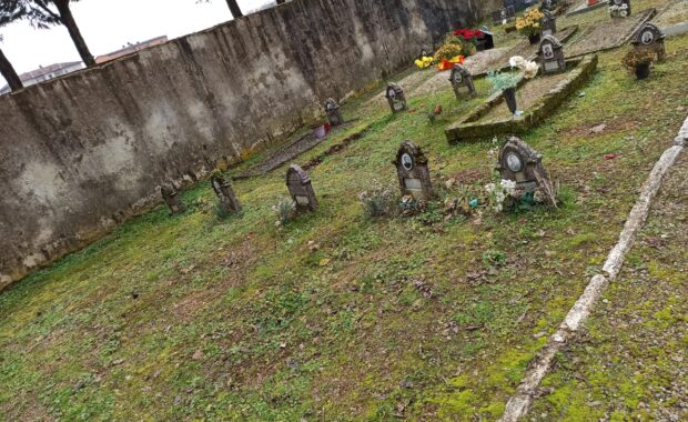 Campo-Comune-Cimitero-scaled