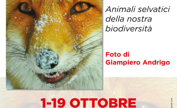 Loc.-A3-Sguardi-e-curiosita