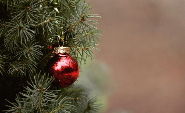 natale-albero-boccia-rossa-xmas