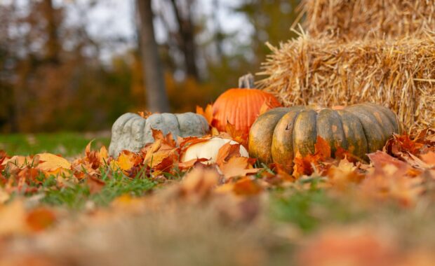 ottobre-1-scaled