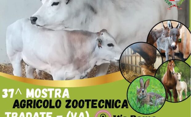 zoo2024-small