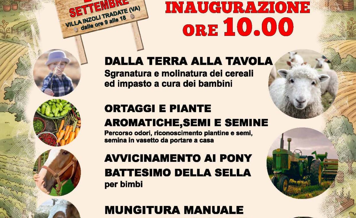 web agritradate