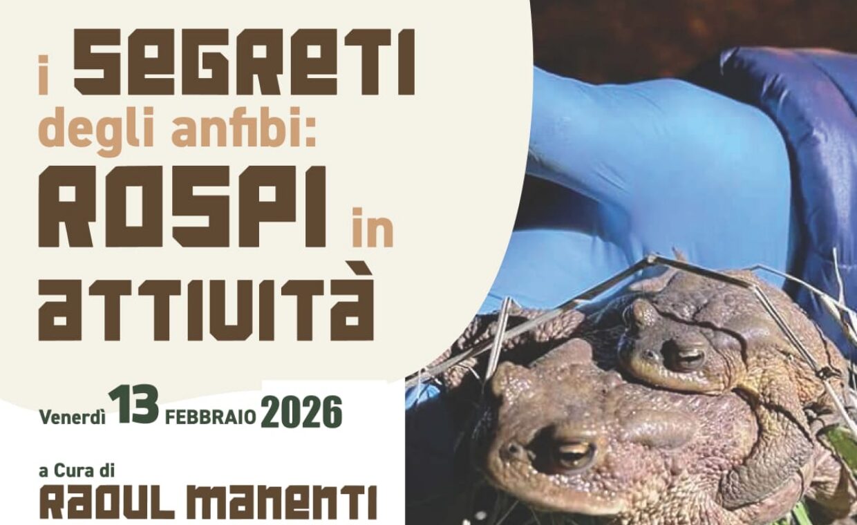 Manifesto serata sugli anfini e inizio campagna salvataggio rospi