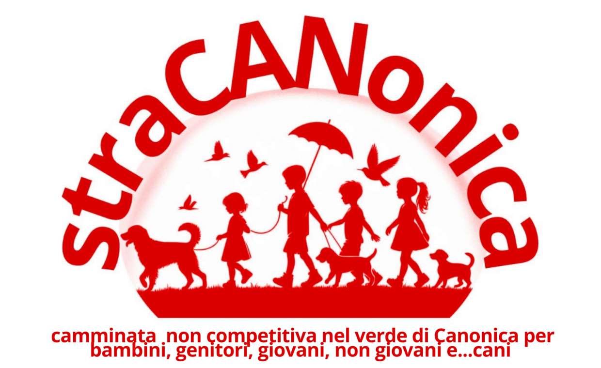 Manifesto Stracanonica 2025