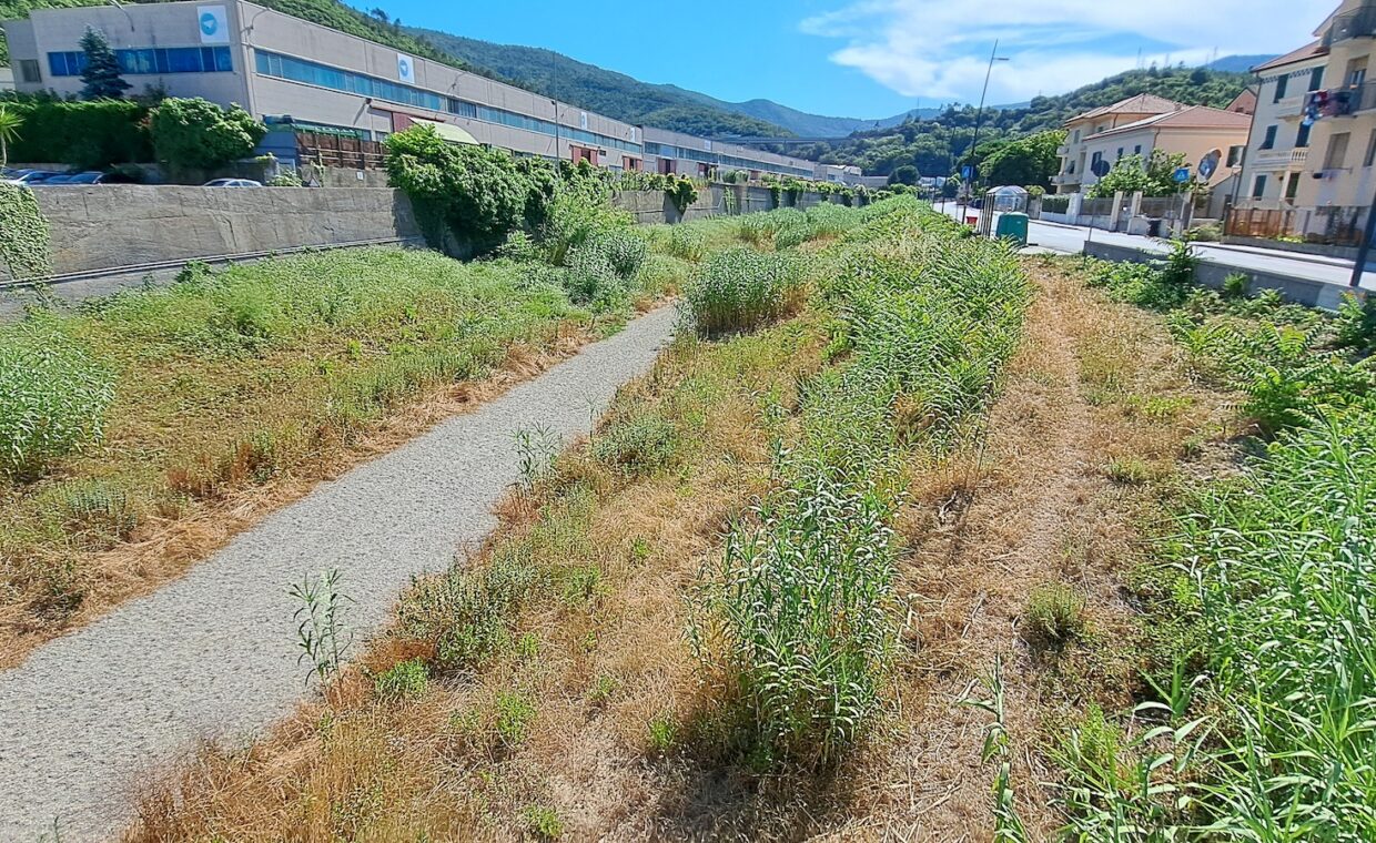 20260618_163610_TSegno-VCaviglia-A_monte-oriz