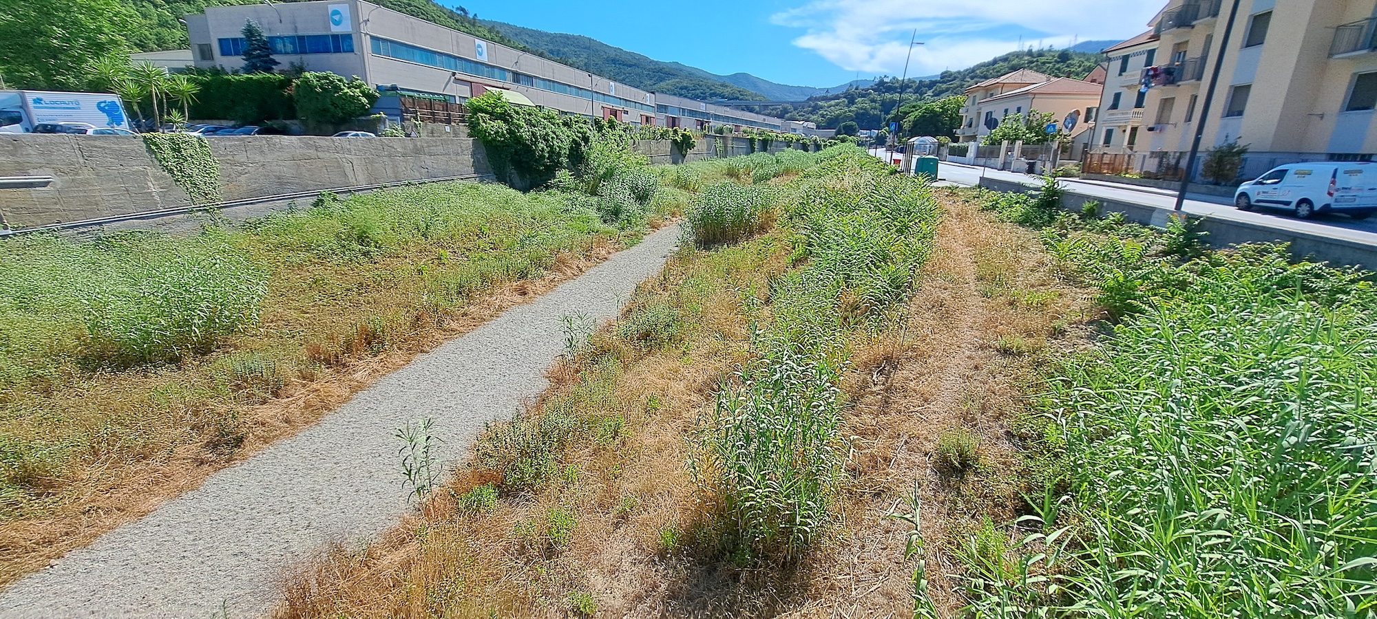 20260618_163610_TSegno-VCaviglia-A_monte-oriz