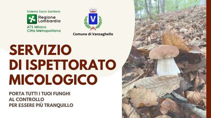 Poster Marrone Arancione Funghi Attività Escursione Parco Semplice Naturale Locandina Manifesto (42 x 59.4 cm) (416 x 234 px) - 1