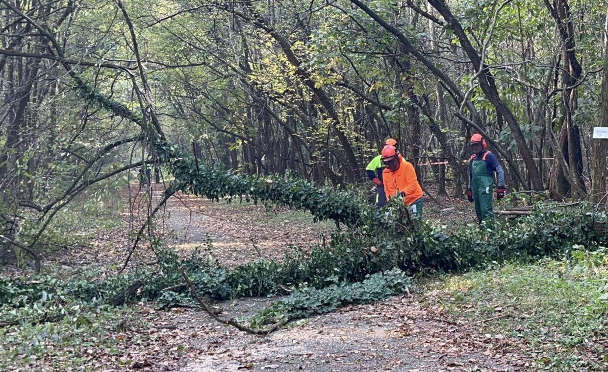 564154040_1367409762097097_3665994452393110146_n