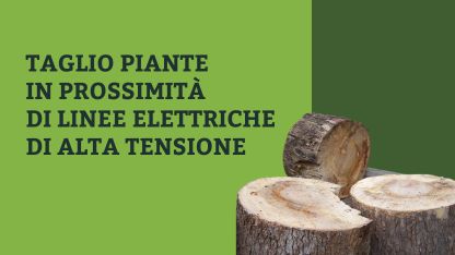 Green and Grey Simple Plants Instagram Post (42 x 59.4 cm) (1080 x 1080 px) (416 x 234 px)