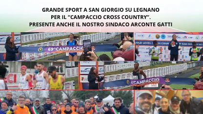 Pastel Minimalist Summer Photo Collage Instagram Story (42 x 59.4 cm) (416 x 234 px)