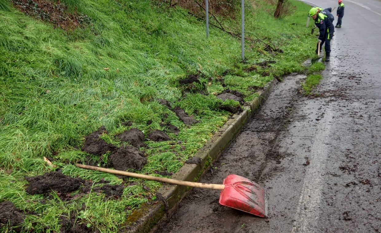 54a85e5c-83ac-4bf1-be0b-85a070e63ab1