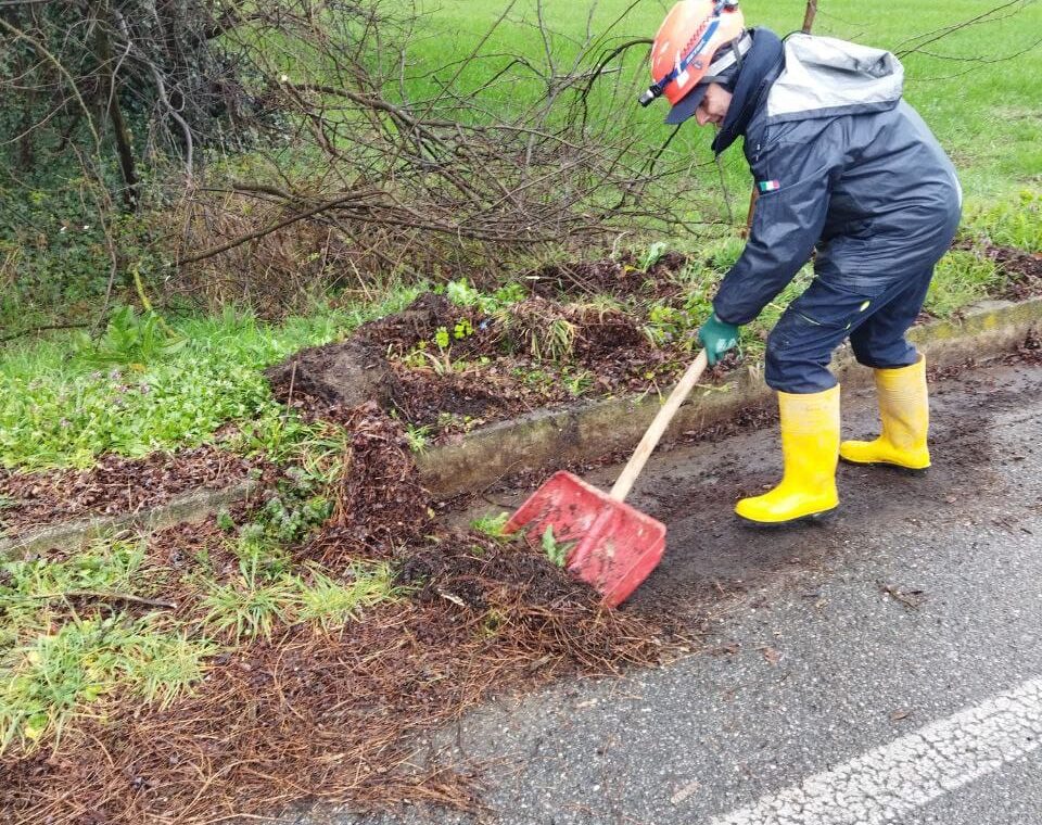 b4d35375-2419-4ebe-a465-adadbc69207b