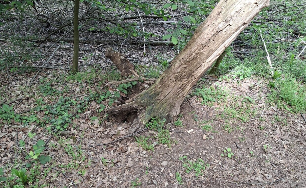 668597472_1578482874323117_1261845685773492602_n