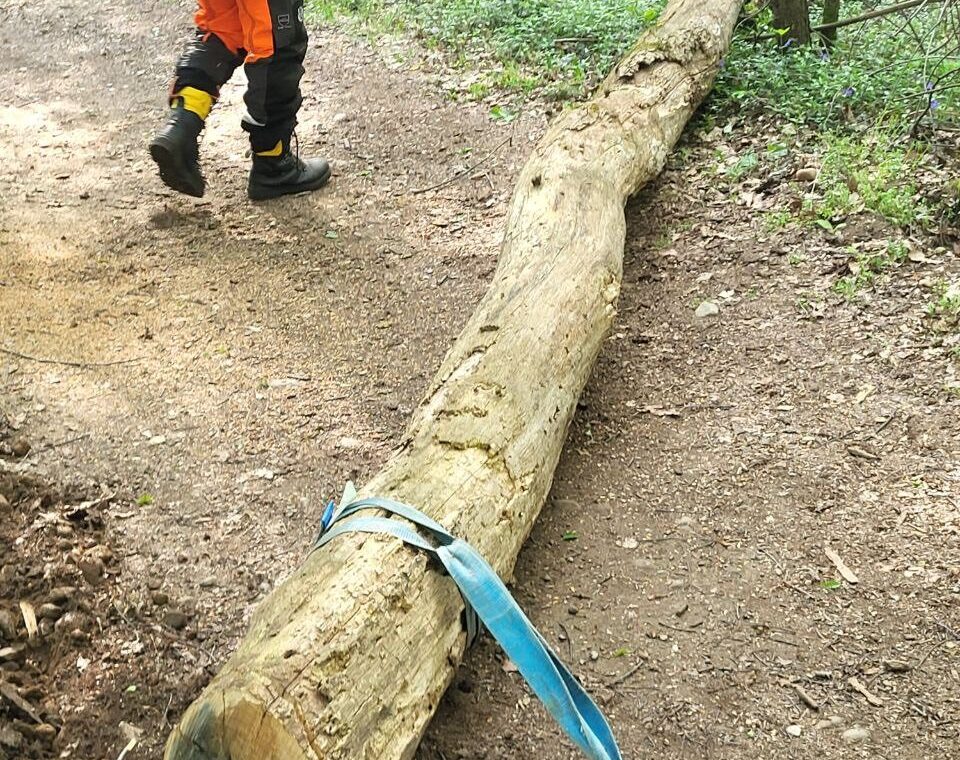 668904101_1578482857656452_8667701742888491254_n