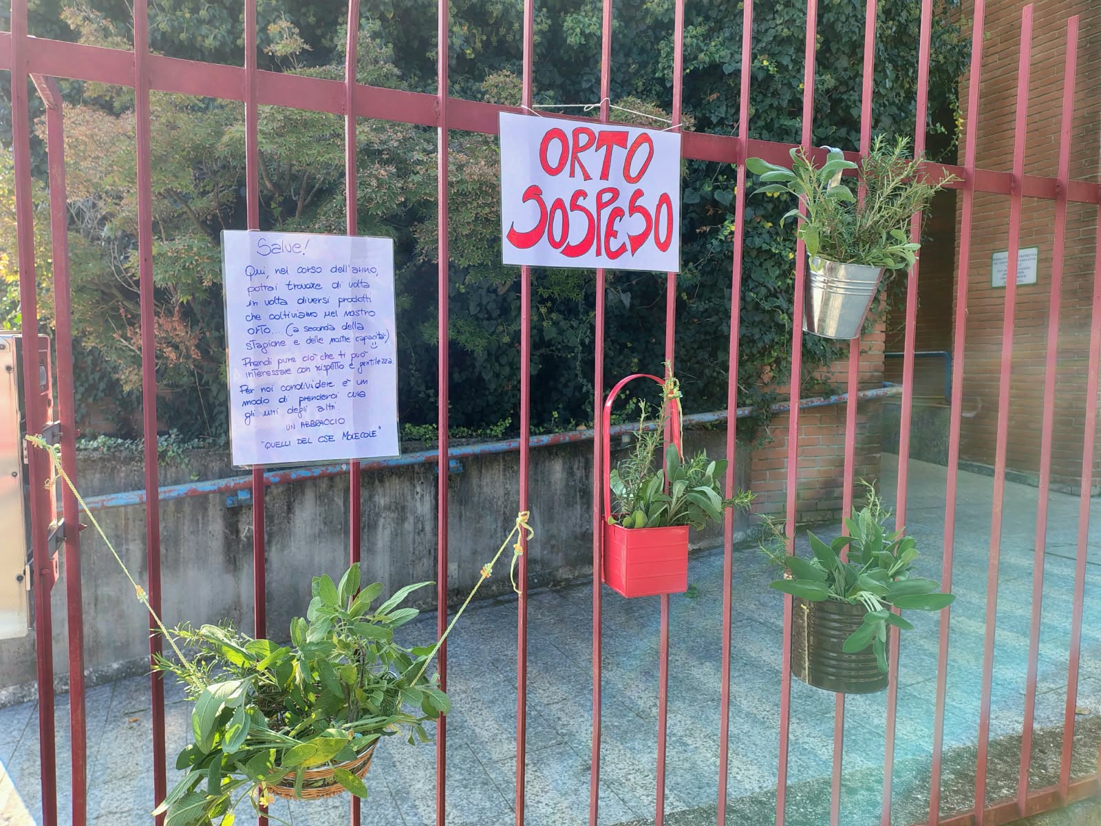 Senza titolo3