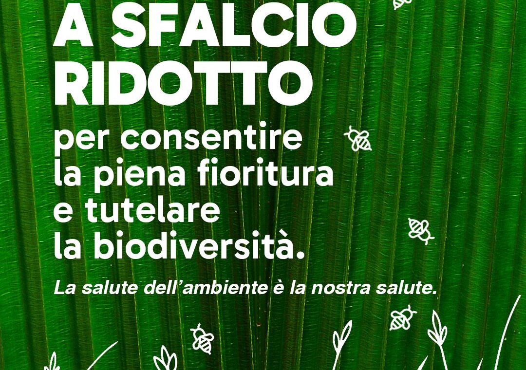 WhatsApp Image 2025-04-04 at 19.13.44