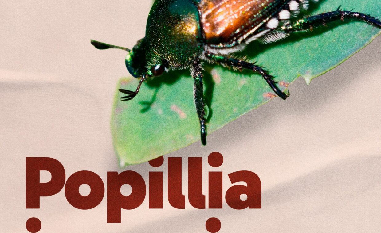 520855288_1183964817104662_9205674087139538620_n