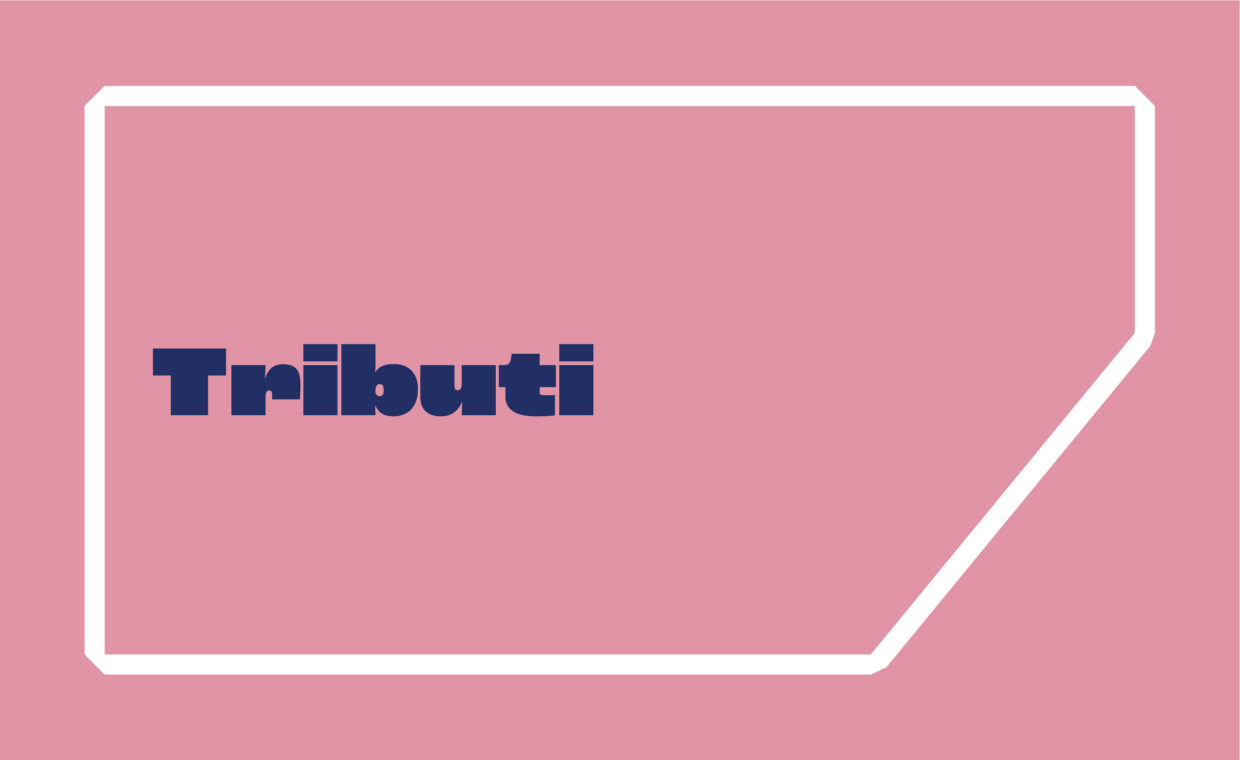 Banner_SitoVimodrone_12