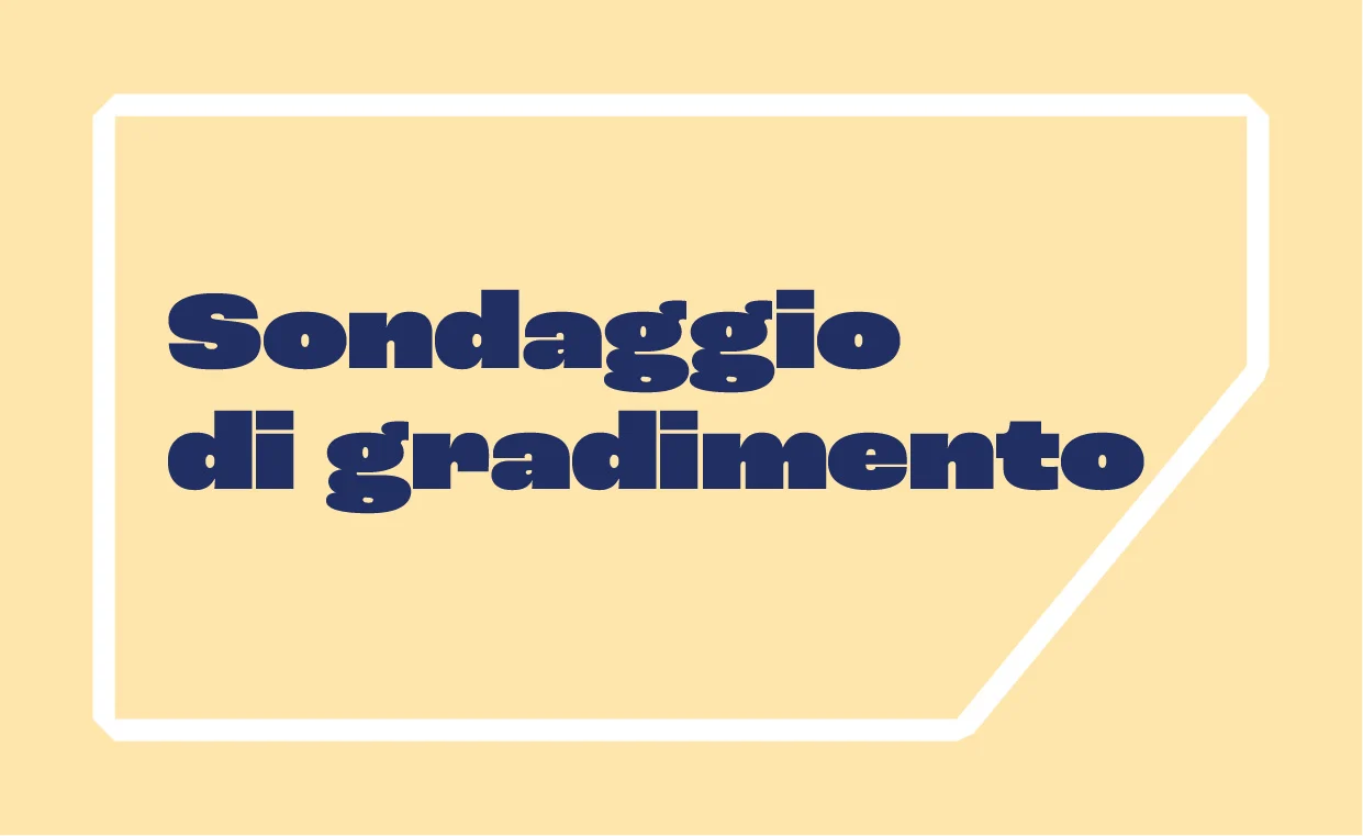 Banner sito sondaggio.jpg