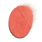 LES BEIGES HEALTHY WINTER GLOW BLUSH