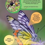 موسوعتي الأولى - الحيوانات