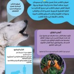 موسوعتي الأولى - الحيوانات
