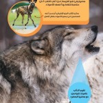 موسوعتي الأولى - الحيوانات