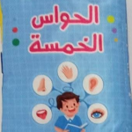 القماشي الطويل الحواس الخمس