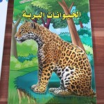 انظر الى منازلنا - الحيوانات البرية