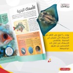 موسوعة الكائنات البحرية