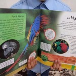 موسوعة الطيور