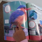 موسوعة الطيور