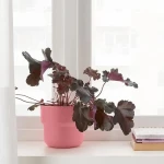 محبس غرس وردي F?RENLIGplastic flower pot, pink, 12 cm, indoo