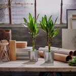 محبس غرس   BINTJE PLANT POT 9 GALVANISED