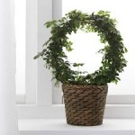 محبس سعف   DRUVFL-DER PLANT POT 12 WATER