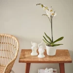 محبس مشبك أبيضSKURAR PLANT POT 17 OFF-WH
