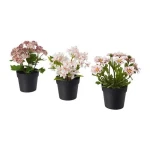 نبات صناعي  FEJKA artifi pttd plant 9 3 p in/out pink