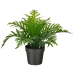 نبات صناعي  FEJKAartificial plant, green, 9 cm, polypodium