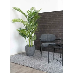 نبات صناعي  Areca Palm