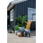 نبات صناعي  Areca Palm