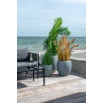نبات صناعي  Areca Palm