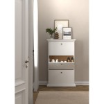 دولاب أحذية Paris Shoe cabinet