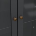فترينة باريس     Paris China cabinet