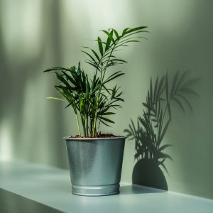 محبس غرس   BINTJE PLANT POT 9 GALVANISED