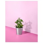 محبس غرس   BINTJE PLANT POT 9 GALVANISED