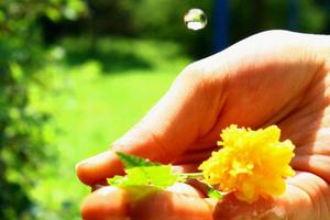 Premiazione concorso fotografico dall’acqua in poi