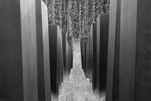 Premiazione concorso fotografico dall’acqua in poi