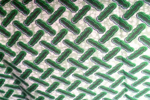 Progetto Fili di cultura